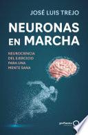 Neuronas en marcha