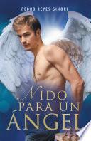 Nido Para Un Ángel