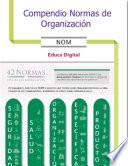 Normas STPS de Organización