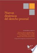Nuevas dinámicas del derecho procesal