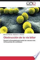 Obstrucción de la vía biliar