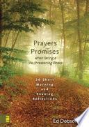 Oraciones y promesas