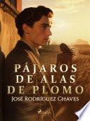 Pájaros de alas de plomo