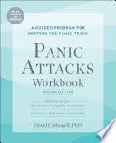 Panic Attacks Workbook: Second Edition