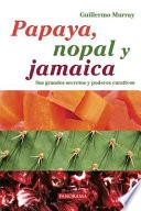 Papaya, Nopal y Jamaica
