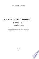 Pasos de un peregrino son errante