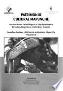 Patrimonio cultural mapunche