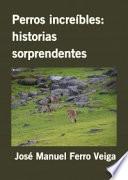 Perros increíbles: historias sorprendentes
