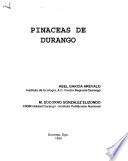 Pináceas de Durango