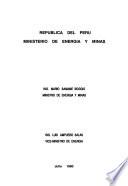 Plan nacional de energía, 1990-2010