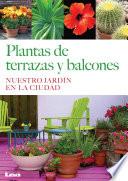 Plantas de terrazas y balcones