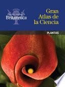 Plantas