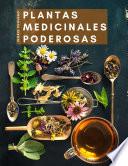 Plantas Medicinales Poderosas