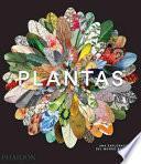 Plantas: Una exploración del Mundo Botánic (Plant: Exploring the Botanical World) (Spanish Edition)