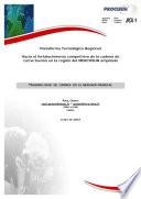 Plataforma Tecnologica Regional
