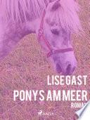 Ponys am Meer