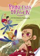 Princesas Dragón 5: Los hermanos Tormenta