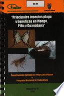 Principales Insectos Plaga