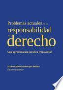 Problemas actuales de la responsabilidad en derecho