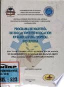 Programa De Maestria De Educacion E Investigacion En Agricultura Tropical Sostenible