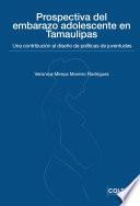 Prospectiva del embarazo adolescente en Tamaulipas: una contribución al diseño de políticas de juventudes