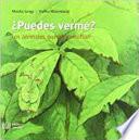 ¿Puedes verme?