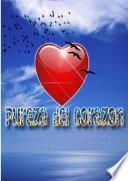 Pureza del Corazon