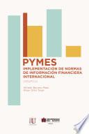 Pymes: implementación de normas de información financiera internacional
