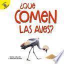 ¿Qué comen las aves?