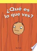 ¿Qué es lo que ves? (What Do You See?)
