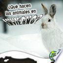 Qué hacen los animales en invierno?