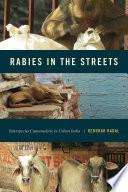 Rabies in the Streets