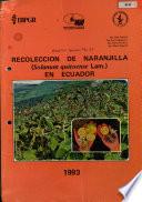 Recoleccion de naranjilla (Solanum quitoense Lam.) en ecuador