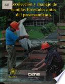 Recolección y manejo de semillas forestales antes del procesamiento