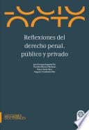 Reflexiones del derecho penal, público y privado