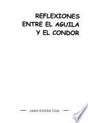 Reflexiones entre el águila y el cóndor