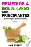 Remedios a base de plantas para principiantes