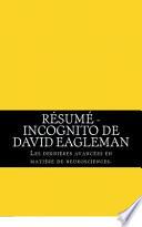 Résumé - Incognito de David Eagleman