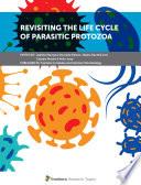 Revisiting the Life Cycle of Parasitic Protozoa
