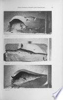 Revista de publicaciones navales