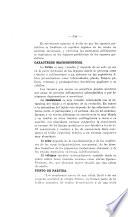 Revista
