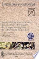 Rhizophoraceae de la Península de Yucatán