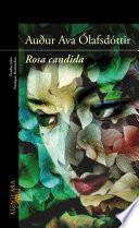 Rosa candida