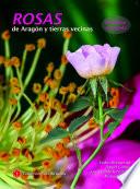 Rosas de Aragón y tierras vecinas