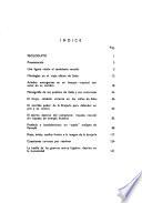 Salas, Incahuasi, Penachí en la novelesca vida de los brujos