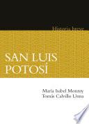 San Luis Potosí. Historia breve
