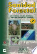 Sanidad forestal. Guía en imágenes de plagas