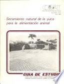 Secamiento natural de la yuca para la alimentacion animal