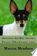 Secretos del Rat Terrier