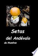 Setas del Andévalo de Huelva